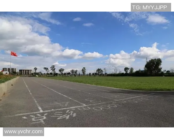 重庆排球队的崛起之路总决赛特别报道展现成长与奋斗的精彩篇章