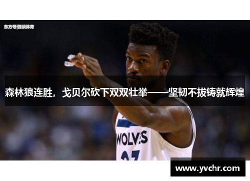 森林狼连胜，戈贝尔砍下双双壮举——坚韧不拔铸就辉煌